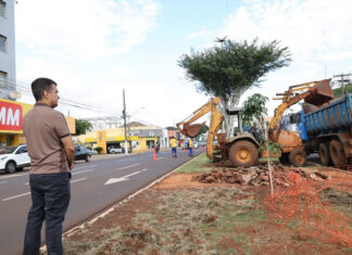 Canteiros centrais de 4 pontos da cidade passam por revitalização