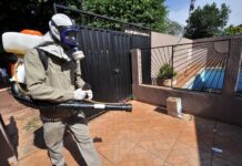 Chikungunya segue em desaceleração em Dourados e notificações despencam