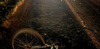 Ciclista morre atropelado na BR-376 entre Fátima do Sul e Dourados