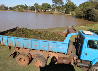 Concluída a limpeza do lago do Antenor Martins; prefeitura começa força-tarefa no Rego D’Água