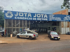 Do quintal para o bolso: Transforme o que não tem utilidade em renda extra