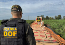 DOF amplia apreensões e causa prejuízo R$ 320 milhões ao crime no primeiro semestre