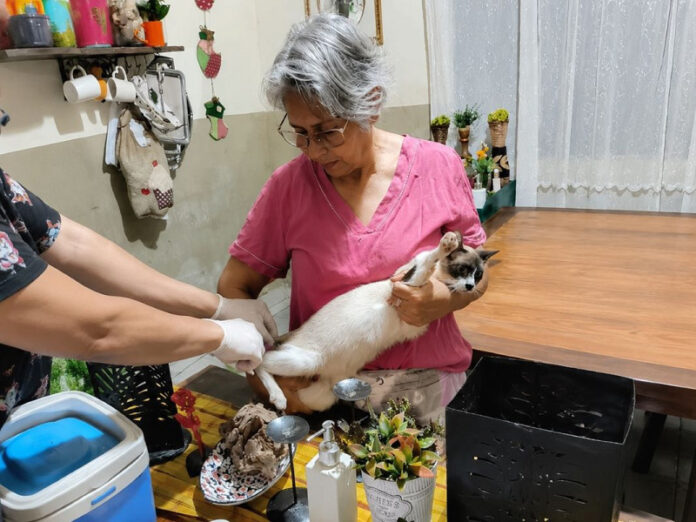 Dourados vacina quase 700 animais acolhidos por protetores; ação continua_6a5ed5800432b.jpeg