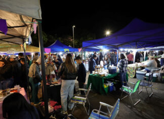 Feira Sabores no Parque reúne gastronomia, agricultura familiar e música em Dourados