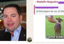 Marido da vice-prefeita de Dourados chama eleitor de “viadinho” e ameaça “levantar CPF” após ser criticado em grupo de WhatsApp