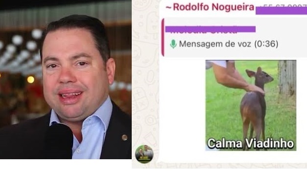 Marido da vice-prefeita de Dourados chama eleitor de “viadinho” e ameaça “levantar CPF” após ser criticado em grupo de WhatsApp_6a4c633bb573e.jpeg