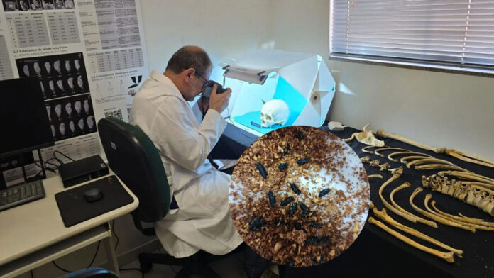 Pesquisa de Dourados identifica nova prova científica para esclarecer homicídios com corpos em decomposição_6a5ed864af680.jpeg