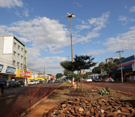 Prefeitura inicia revitalização de canteiros centrais em Dourados