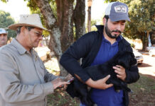 Prefeitura inicia vacinação antirrábica de mais de mil animais acolhidos