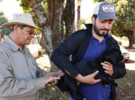 Prefeitura inicia vacinação antirrábica de mais de mil animais acolhidos