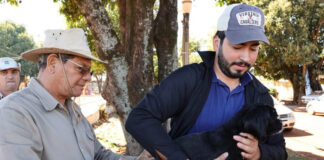 Prefeitura inicia vacinação antirrábica de mais de mil animais acolhidos