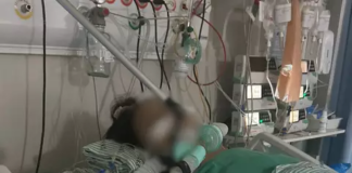 Técnico de enfermagem é preso por suspeita de estuprar paciente na UTI do Hospital Regional de MS
