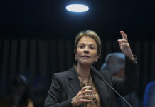 Tereza Cristina recusa convite para ser candidata a vice-presidente de Flávio