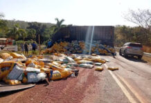 Caminhão carregado de ração tomba e interdita BR-060 em Paraíso das Águas