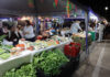 Com entrada de pet, Feira dos Ipês reúne gastronomia, artesanato e música nesta terça