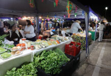 Com entrada de pet, Feira dos Ipês reúne gastronomia, artesanato e música nesta terça