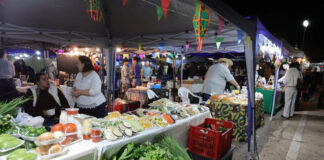 Com entrada de pet, Feira dos Ipês reúne gastronomia, artesanato e música nesta terça