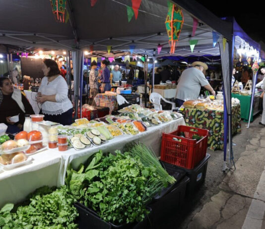 Com entrada de pet, Feira dos Ipês reúne gastronomia, artesanato e música nesta terça
