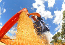 IBC-Br recuou 0,6% em junho, diz Banco Central