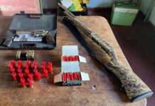Polícia Federal apreende armas e munições em ação contra fraude na obtenção de registro de CAC