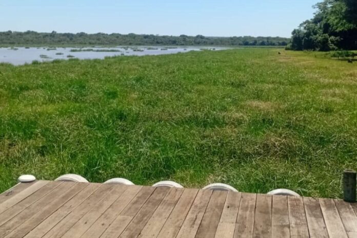 Rio Pardo agoniza: poluição ameaça gado, lavouras e o futuro do meio ambiente em Ribas_6a7fcdbd226d1.jpeg