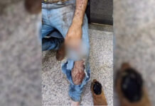 Trabalhador diz ter sido atacado por onça durante colheita em Nova Itamarati