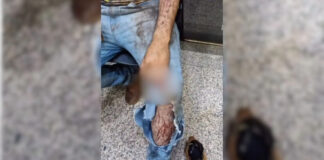 Trabalhador diz ter sido atacado por onça durante colheita em Nova Itamarati