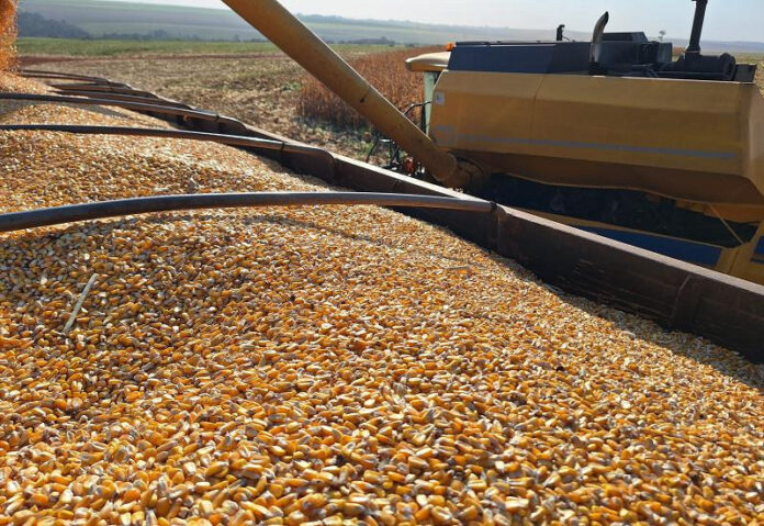 Veículo movido exclusivamente a etanol pode beneficiar cadeia produtiva do milho_6a768f41411ae.jpeg